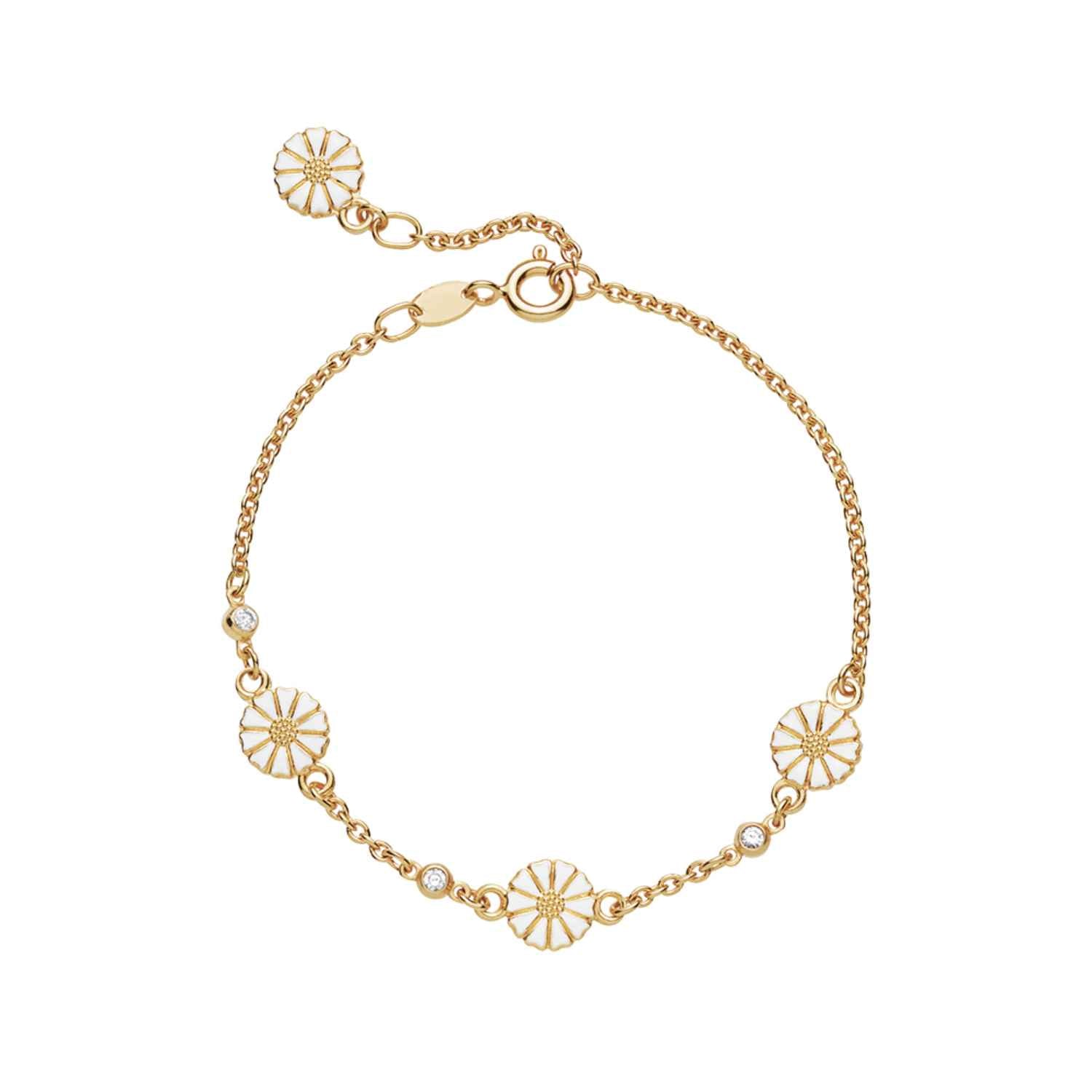 DETAIL256559
